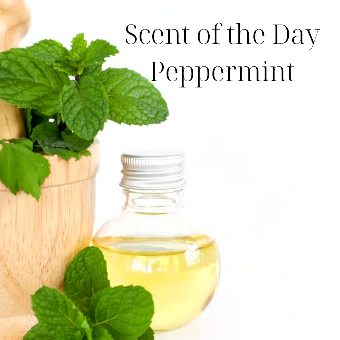 Aromatherapy and Trauma Healing: The Power of Peppermint – Anchor'd Inc