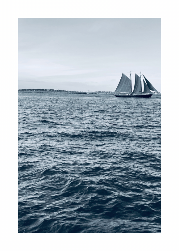 Sail the Boston Harbor- Print